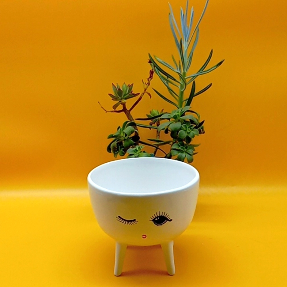 Ceramic Planter - Picture 3 of 9
